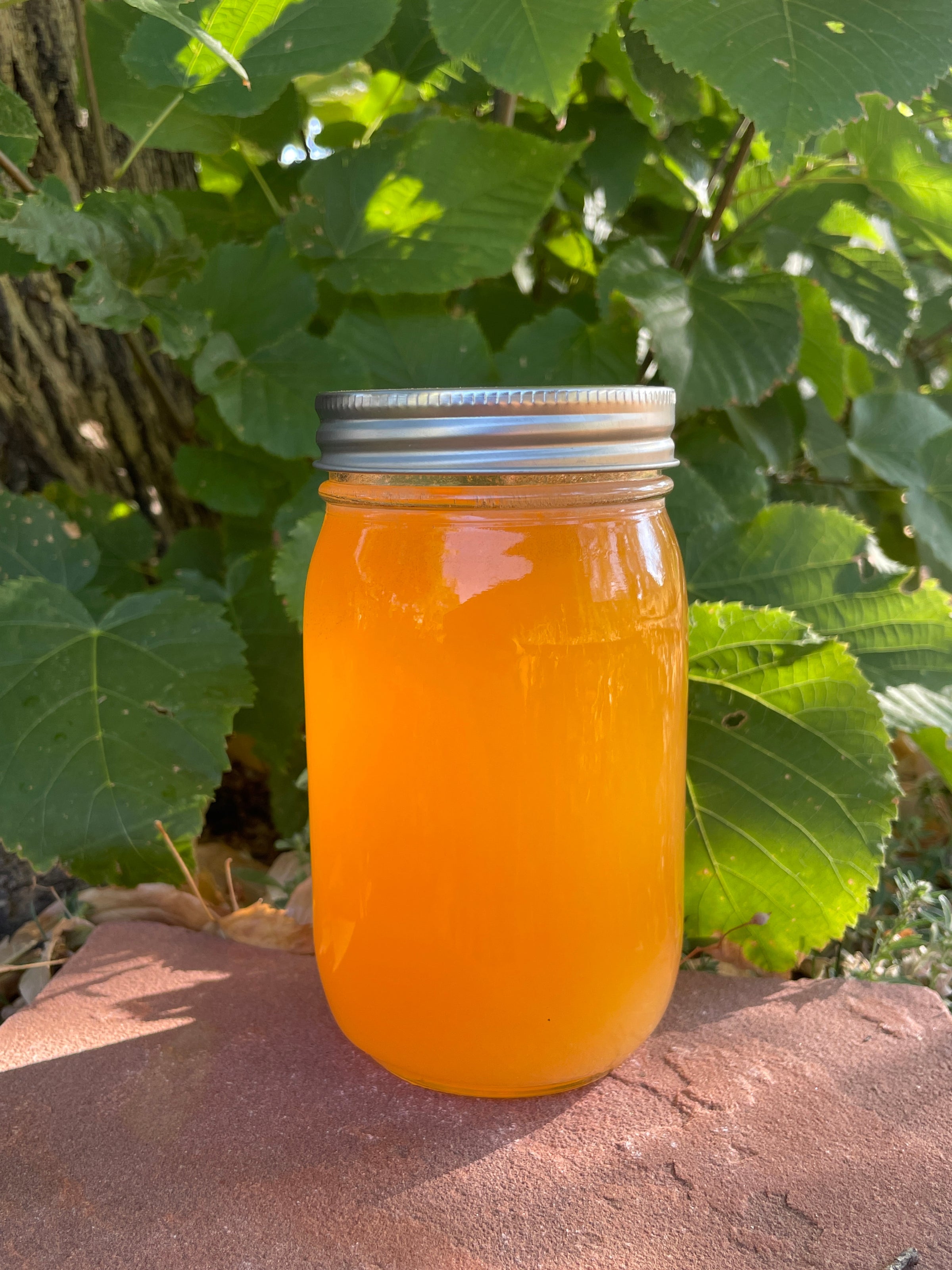 48oz nt wt Honey | Beit Dvash Beekeeping